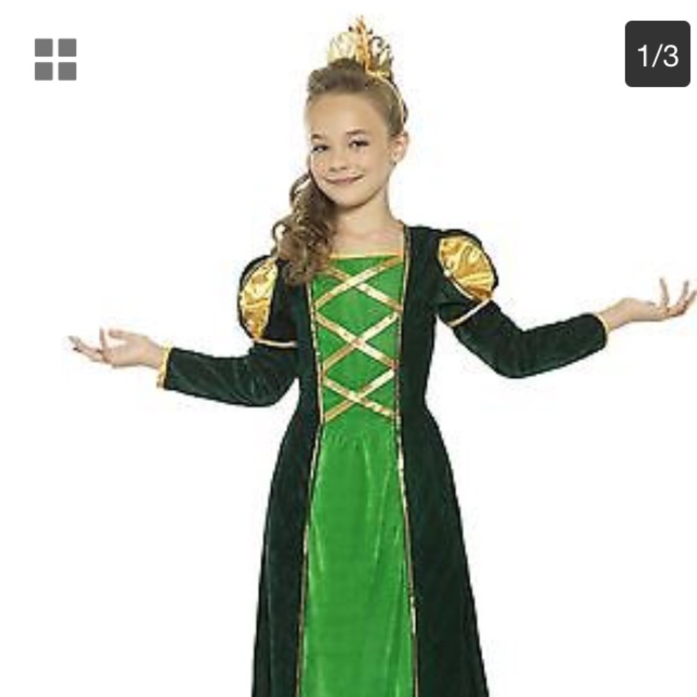 Brand New Fiona Costume From Shrek!